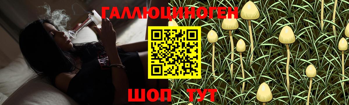 Алексин  купить наркотики цена  Вход с VPN  Галлюциногенные грибы мицелий 